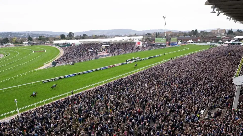 Premium 14/03/2023 Daily Update Cheltenham Day 1 Special