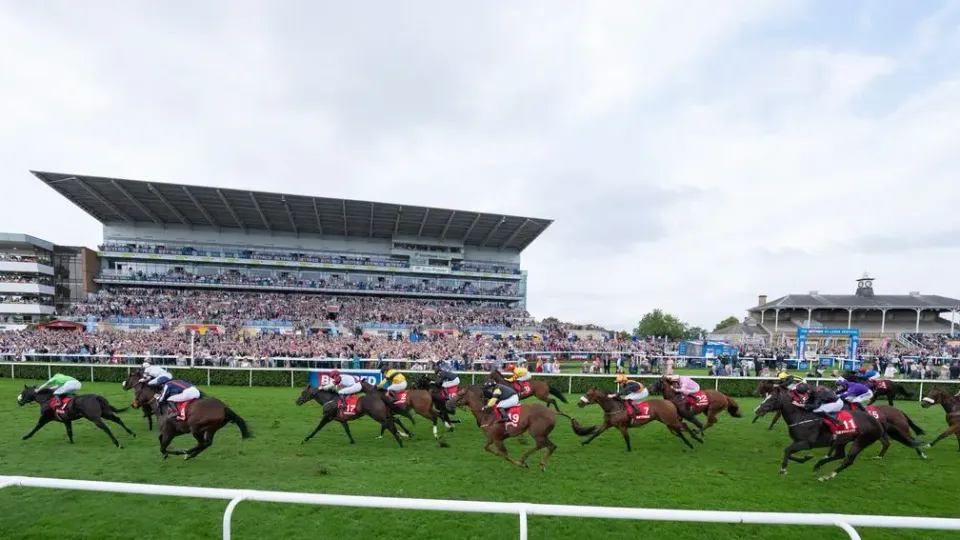 Premium 25/10/2024 Daily Update Cheltenham Friday Horse Racing Tips